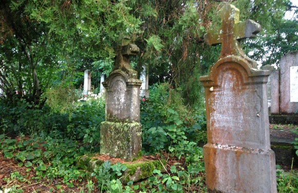 Nejstarší čitelné náhrobky v Češkom selu se datují do přelomu 18. a 19. století.